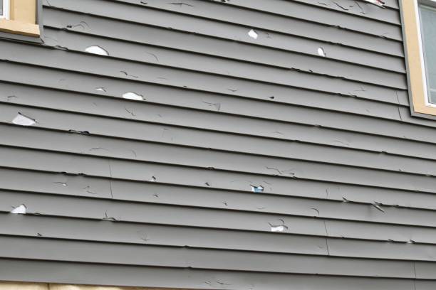 Best Siding Maintenance  in USA